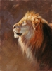 Lion portrait by Edward Aldrich